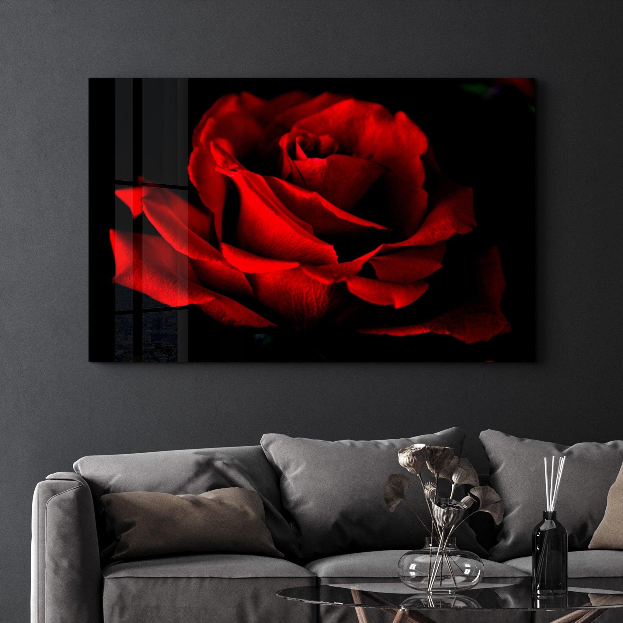 Red Rose | Glass Wall Art - Artdesigna