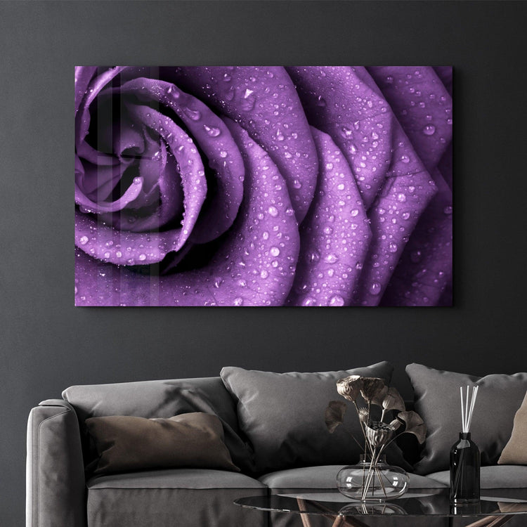 ・"Purple Rose"・Glass Wall Art - ArtDesigna Glass Printing Wall Art
