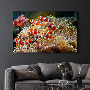 Fishes on Corals | Glass Wall Art - ArtDesigna Glass Printing Wall Art