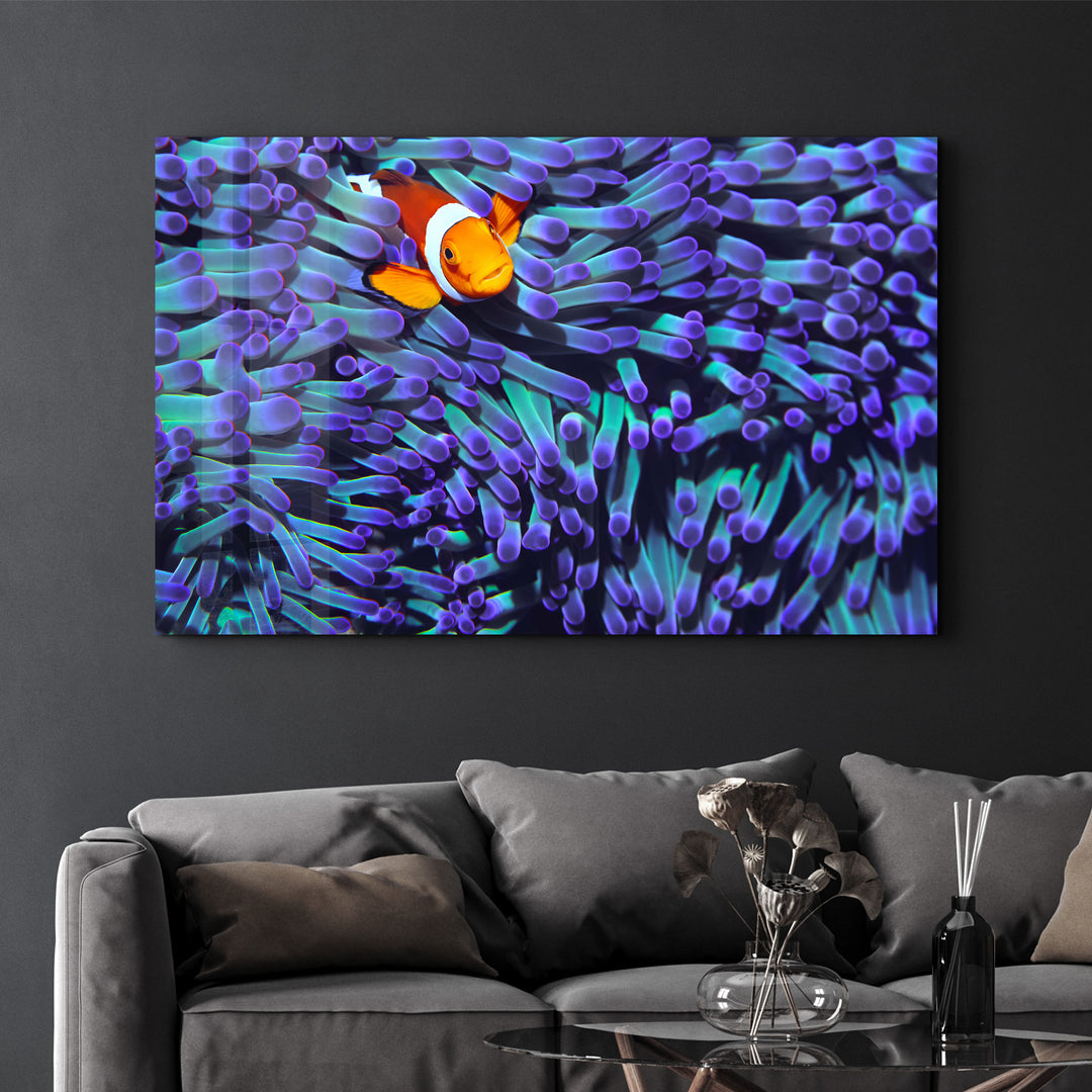 ・"Clownfish"・Glass Wall Art - ArtDesigna Glass Printing Wall Art