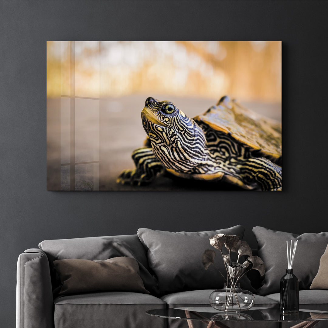 ・"Striped Turtle"・Glass Wall Art - ArtDesigna Glass Printing Wall Art
