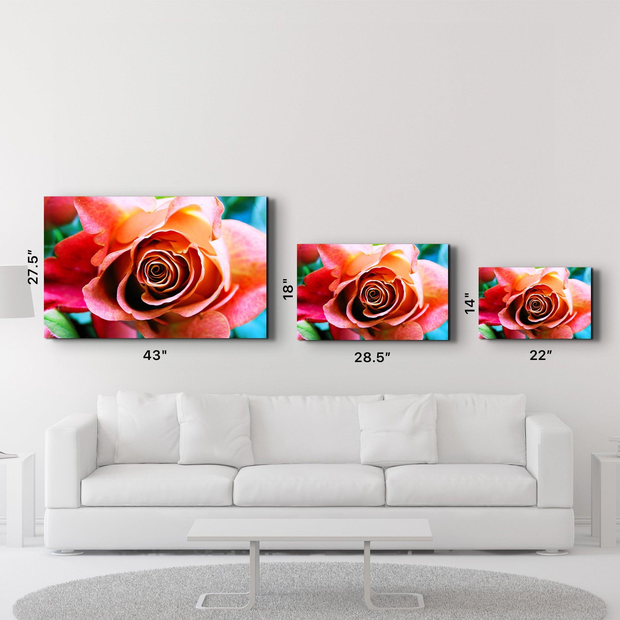 Floribunda Rose | Glass Wall Art - ArtDesigna Glass Printing Wall Art