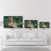 Just Chillin | Glass Wall Art - Artdesigna