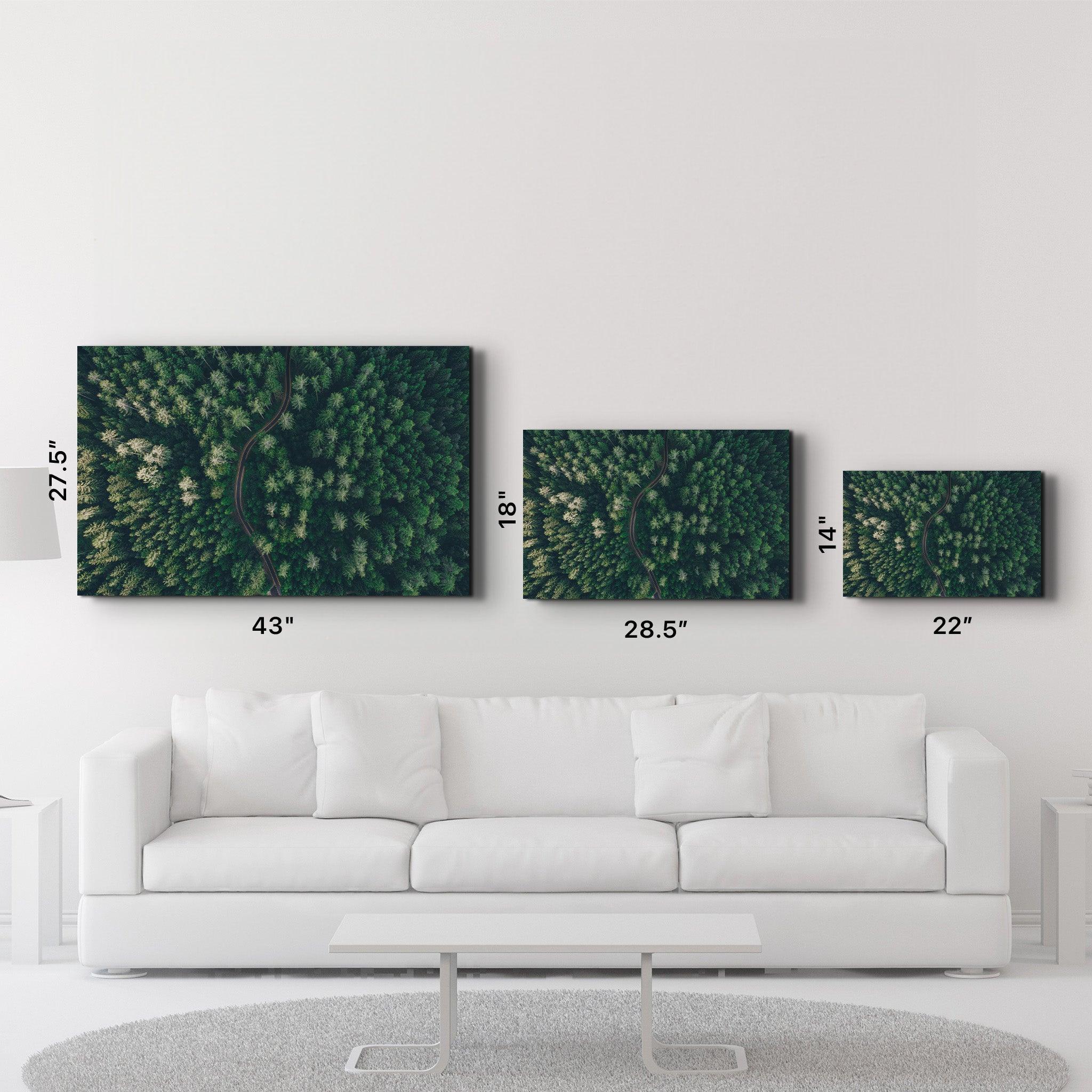 Divided Forest | Glass Wall Art - ArtDesigna Glass Printing Wall Art