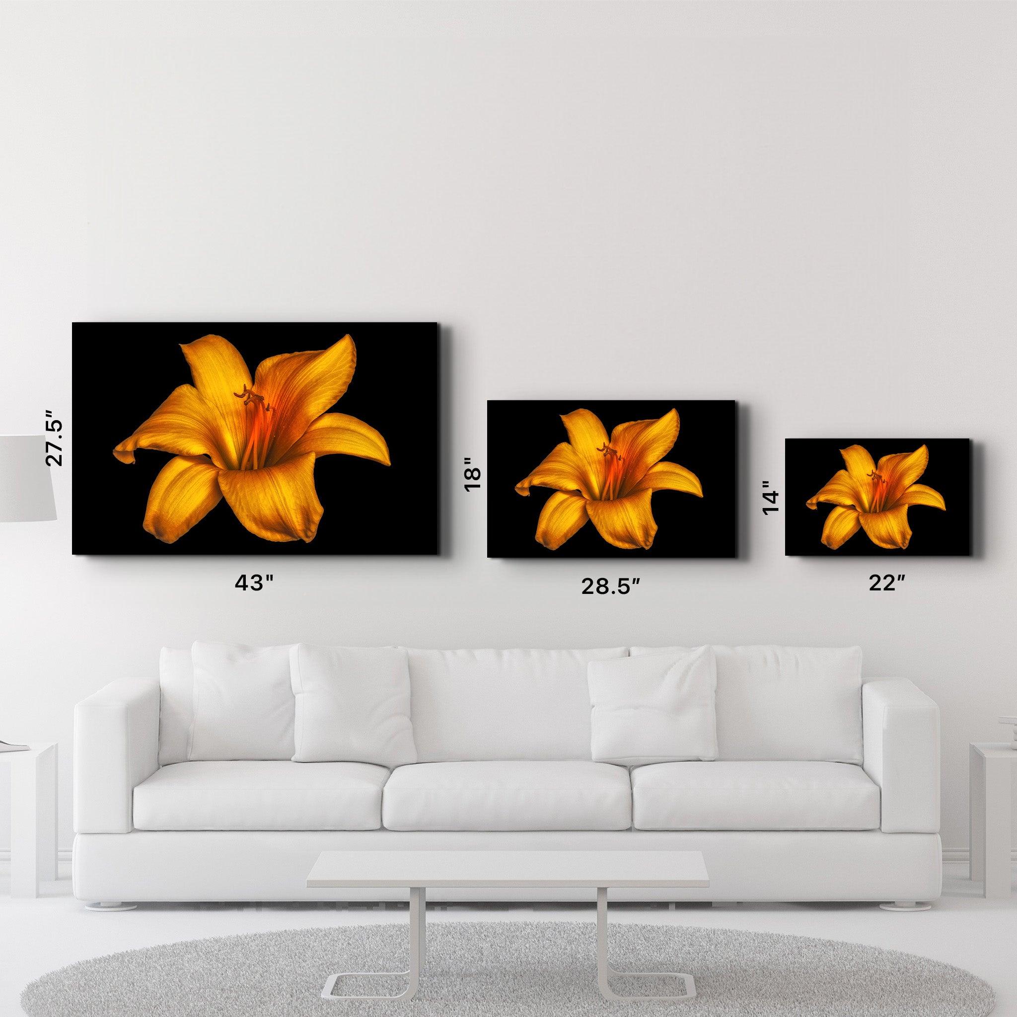 Orange Lily | Glass Wall Art - ArtDesigna Glass Printing Wall Art