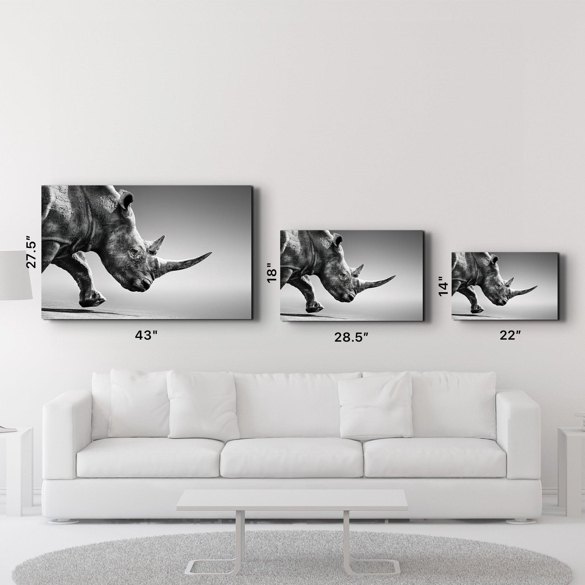 Black Rhinoceros | Glass Wall Art - ArtDesigna Glass Printing Wall Art