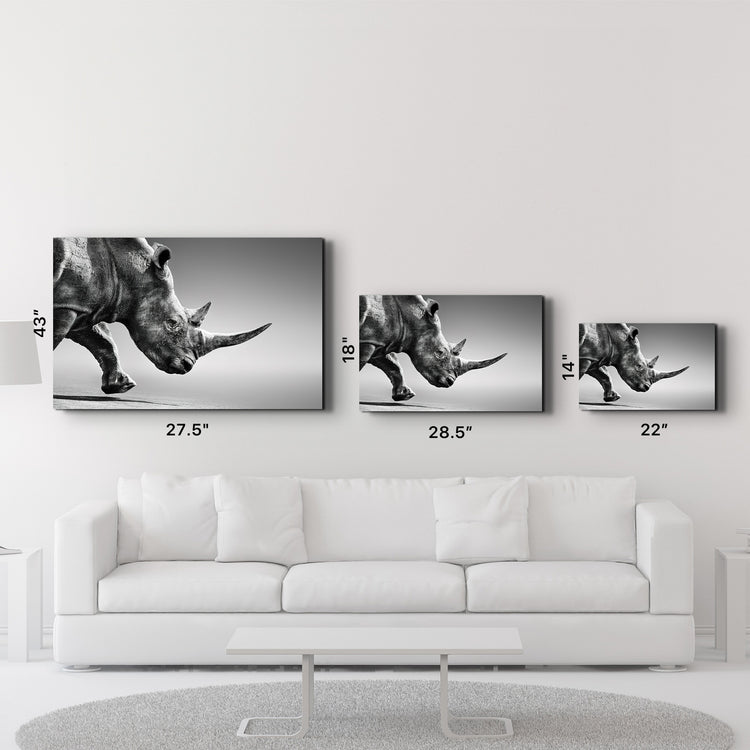 ・"Black Rhinoceros"・Glass Wall Art - ArtDesigna Glass Printing Wall Art