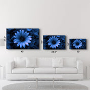 Blue Daisy | Glass Wall Art - ArtDesigna Glass Printing Wall Art