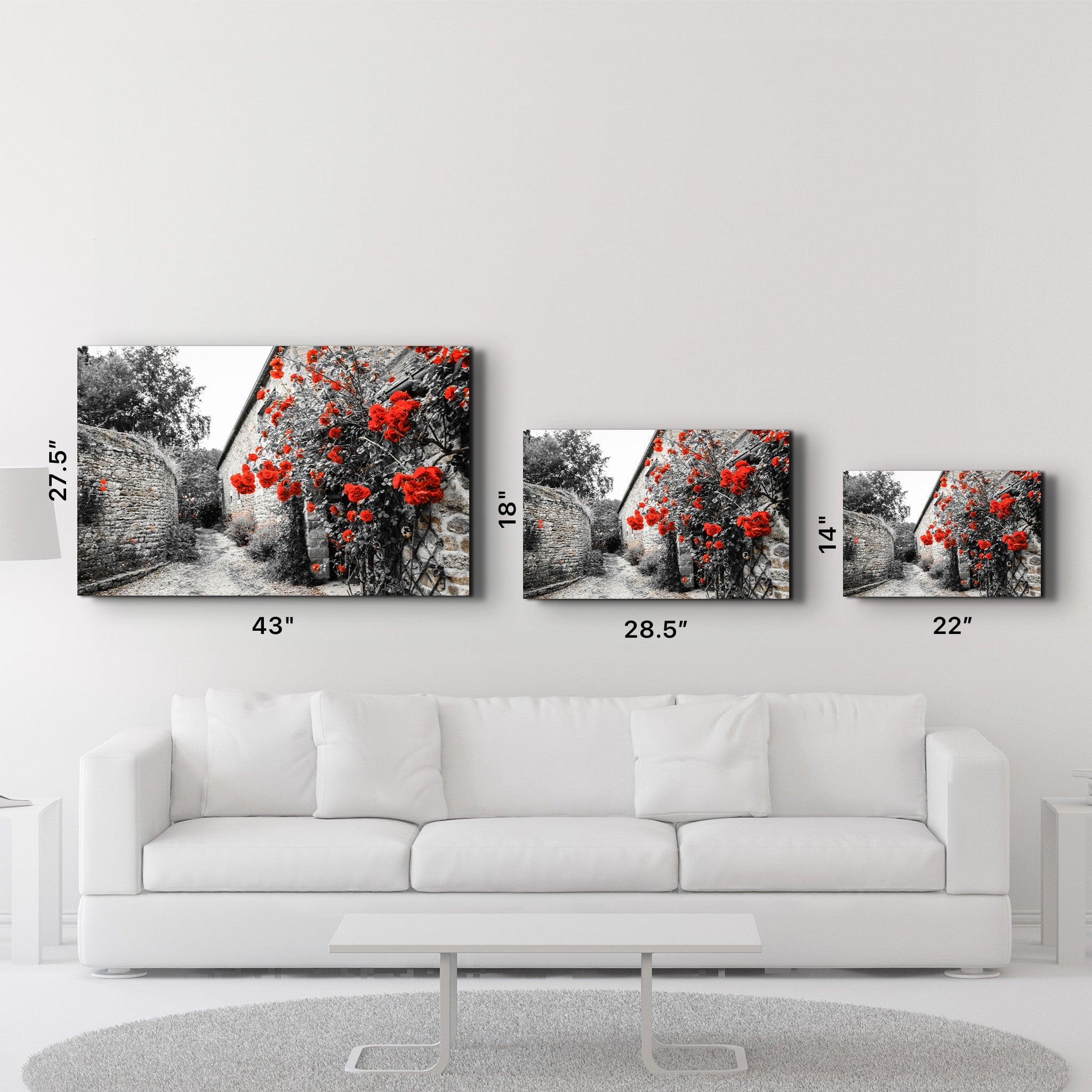 Red Rose 3 | Glass Wall Art - ArtDesigna Glass Printing Wall Art