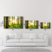 The Forest | Glass Wall Art - Artdesigna