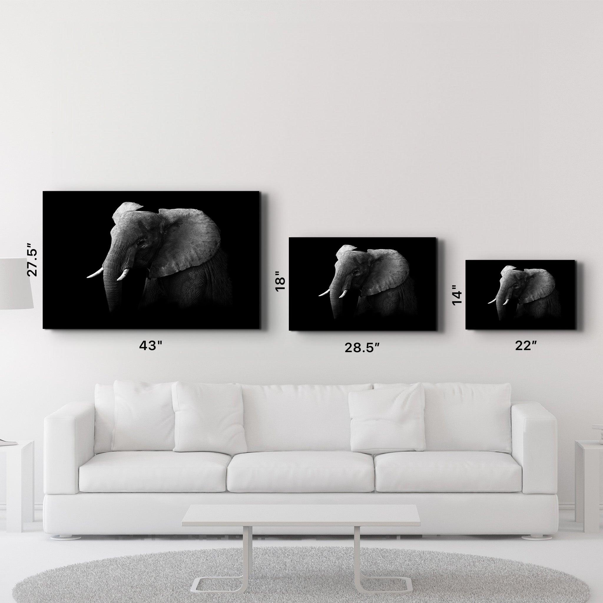 Elephant | Glass Wall Art - ArtDesigna Glass Printing Wall Art