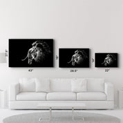 Lion | Glass Wall Art - Artdesigna