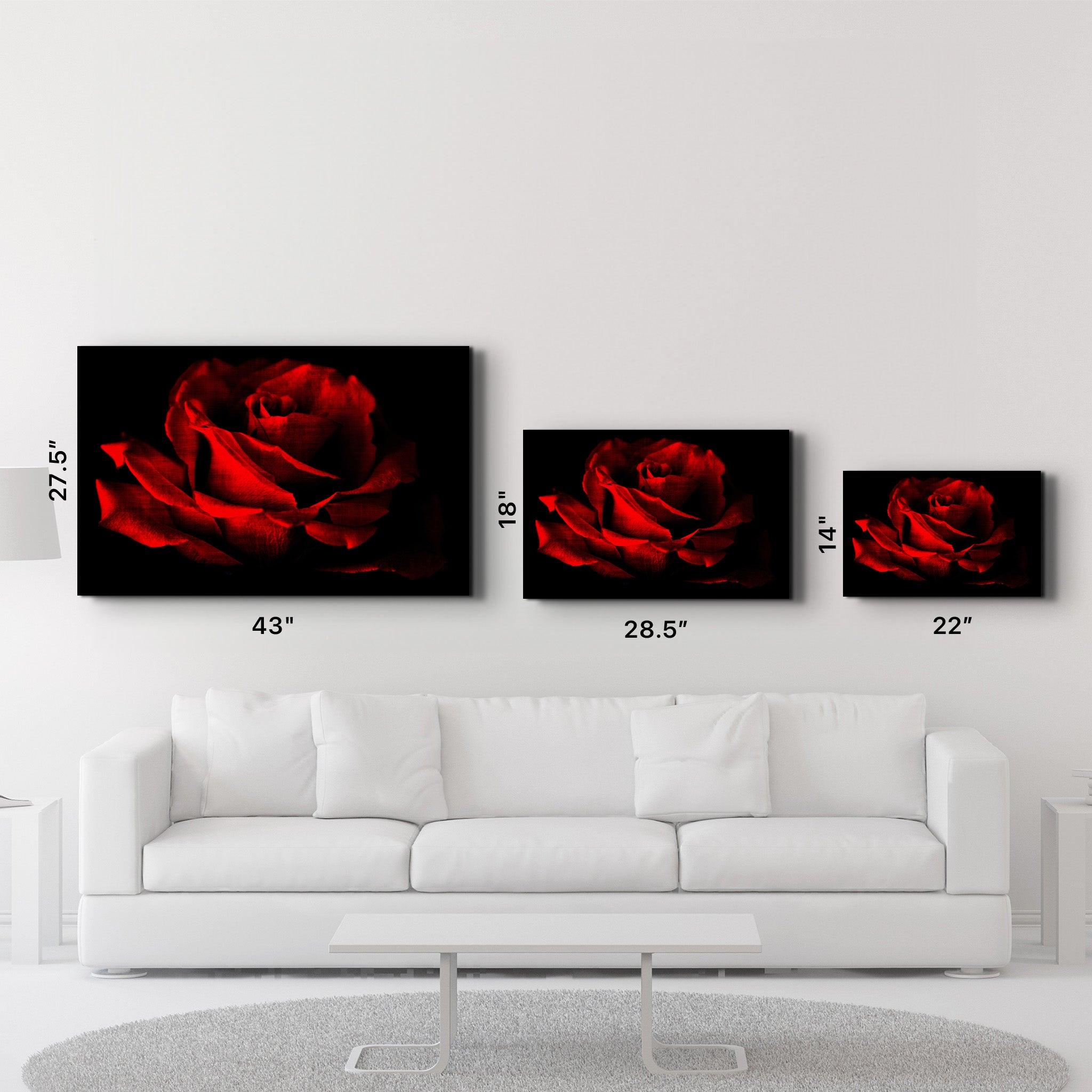 Red Rose Vintage | Glass Wall Art - ArtDesigna Glass Printing Wall Art