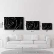 Black Rose | Glass Wall Art - Artdesigna