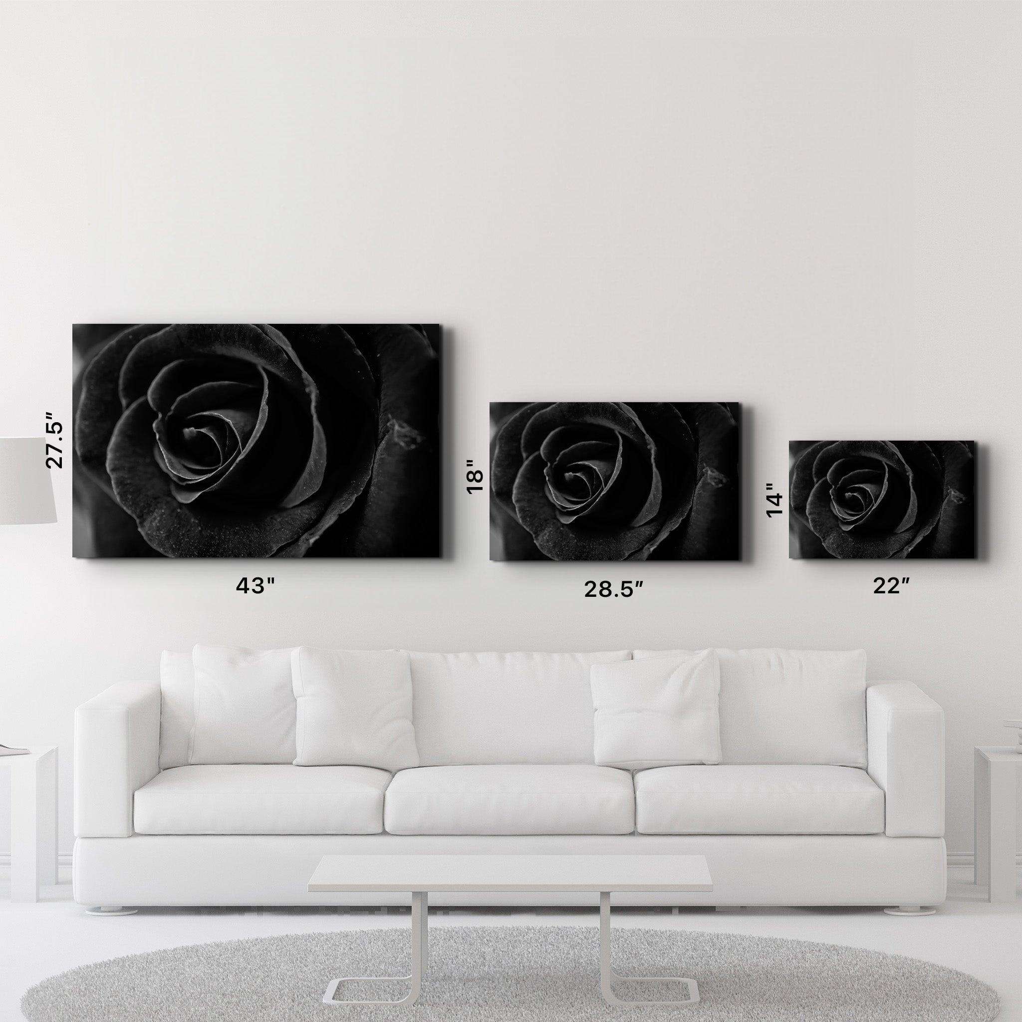 Black Rose | Glass Wall Art - Artdesigna