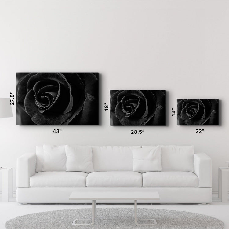 ・"Black Rose"・Glass Wall Art - ArtDesigna Glass Printing Wall Art