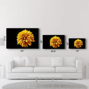Yellow Flower | Glass Wall Art - ArtDesigna Glass Printing Wall Art