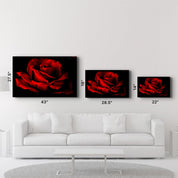 Red Rose | Glass Wall Art - Artdesigna