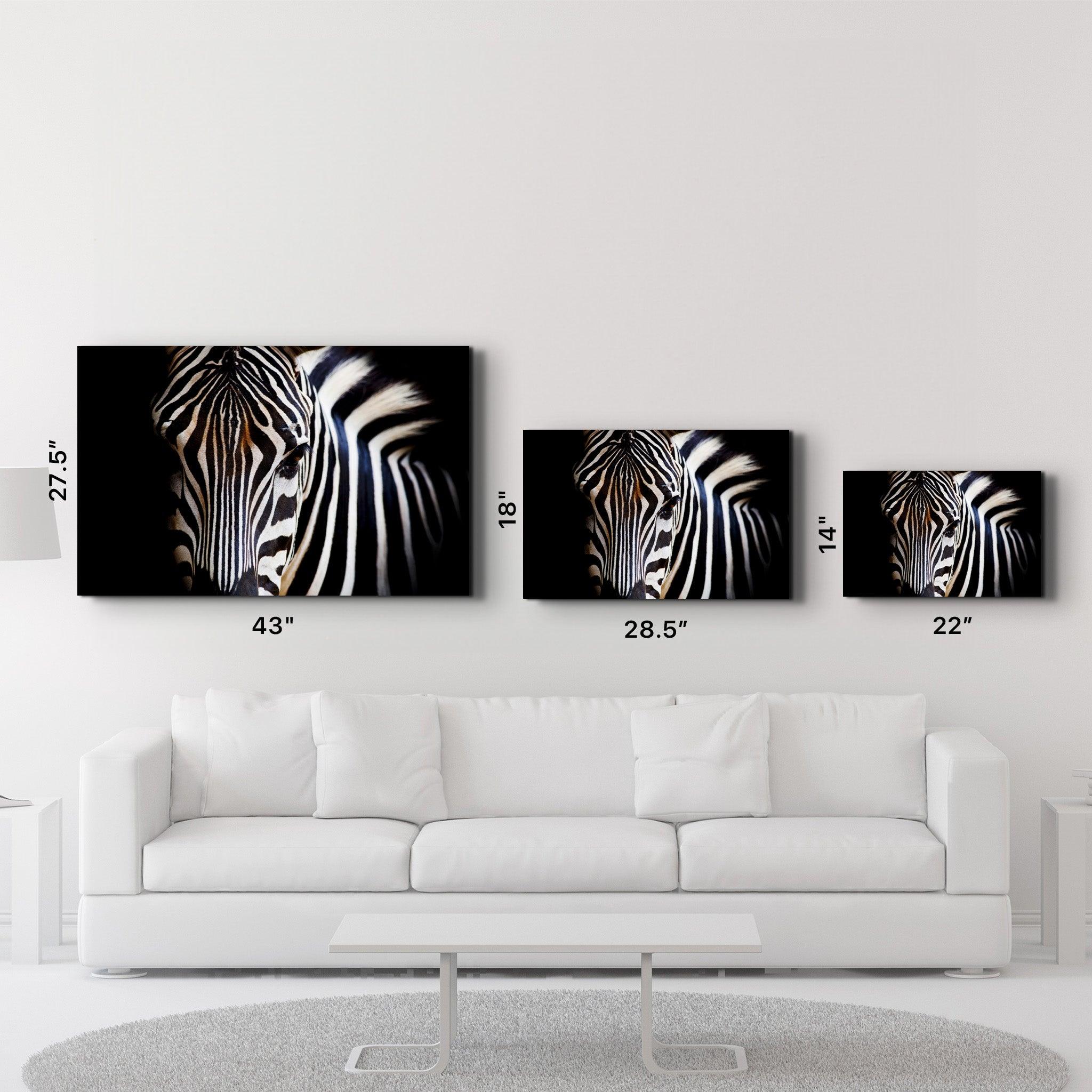 Zebra | Glass Wall Art - ArtDesigna Glass Printing Wall Art