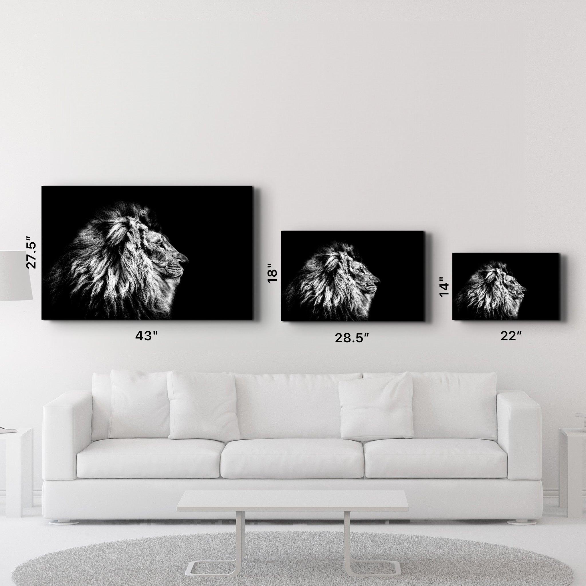 Leo The King | Glass Wall Art - Artdesigna