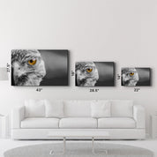 Hawk | Glass Wall Art - Artdesigna