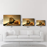 King of the Savanna | Glass Wall Art - Artdesigna