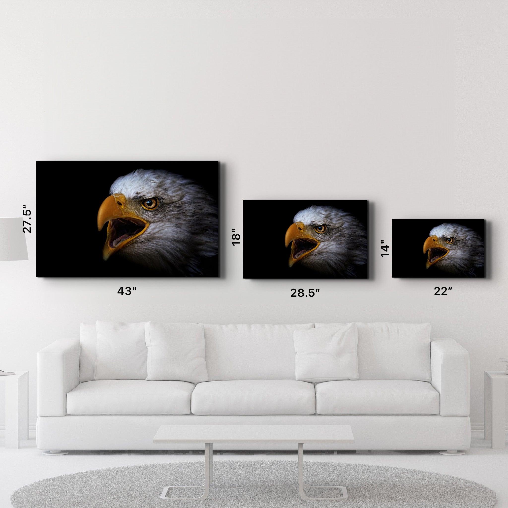 Eagle Scream | Glass Wall Art - ArtDesigna Glass Printing Wall Art