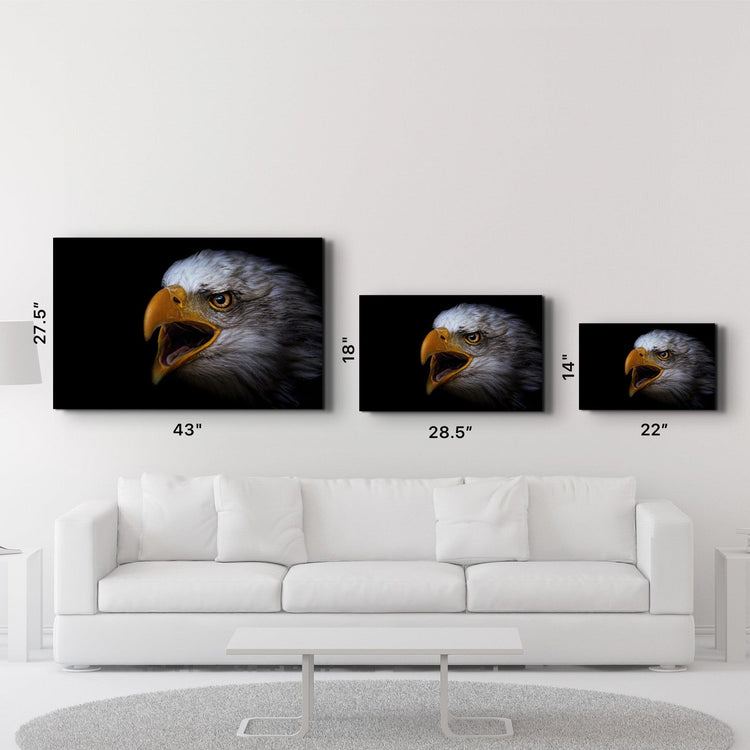 ・"Eagle Scream"・Glass Wall Art - ArtDesigna Glass Printing Wall Art