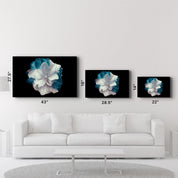 Flower with Blue Leaves | Glass Wall Art - ArtDesigna Glass Printing Wall Art