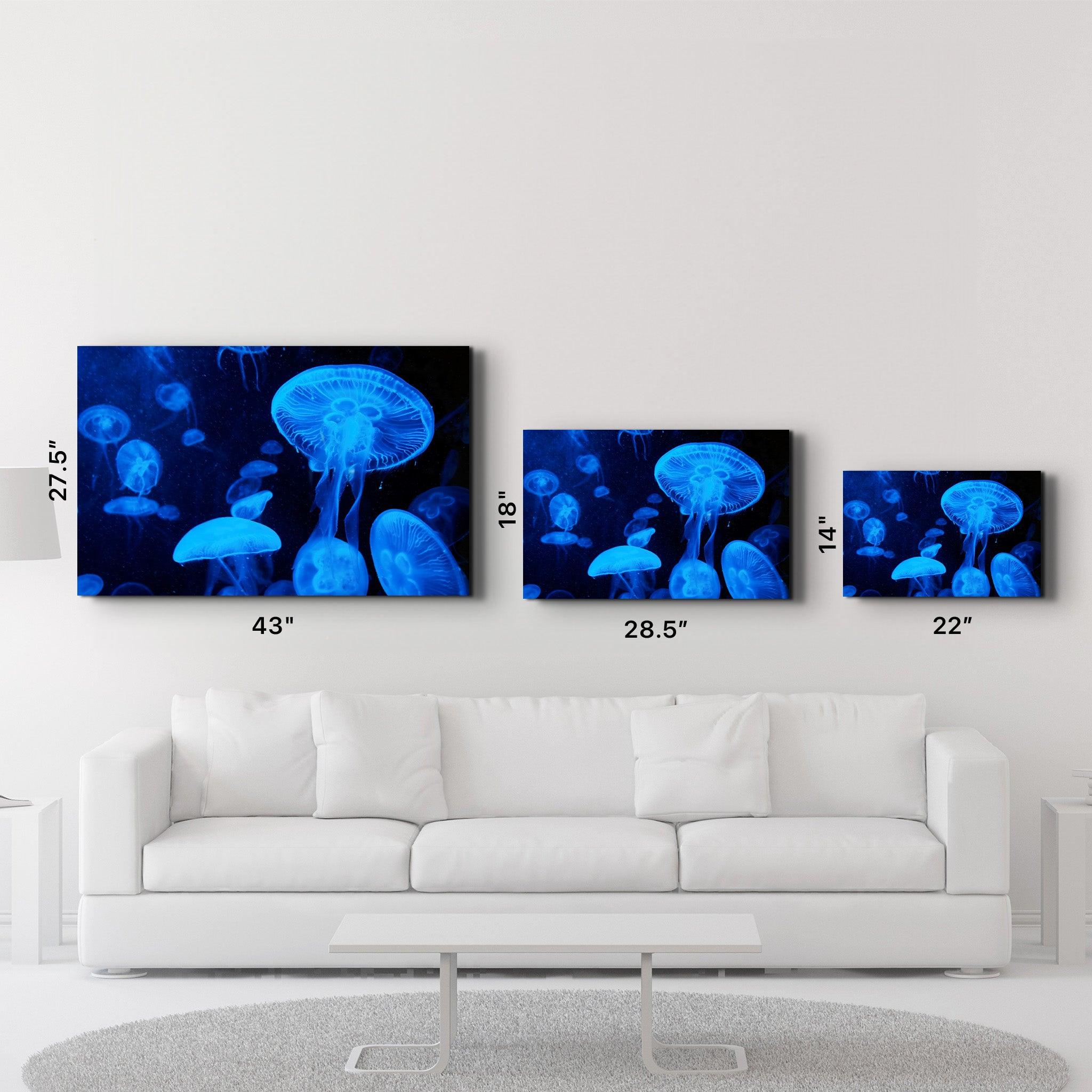 Blue Jellyfish | Glass Wall Art - Artdesigna