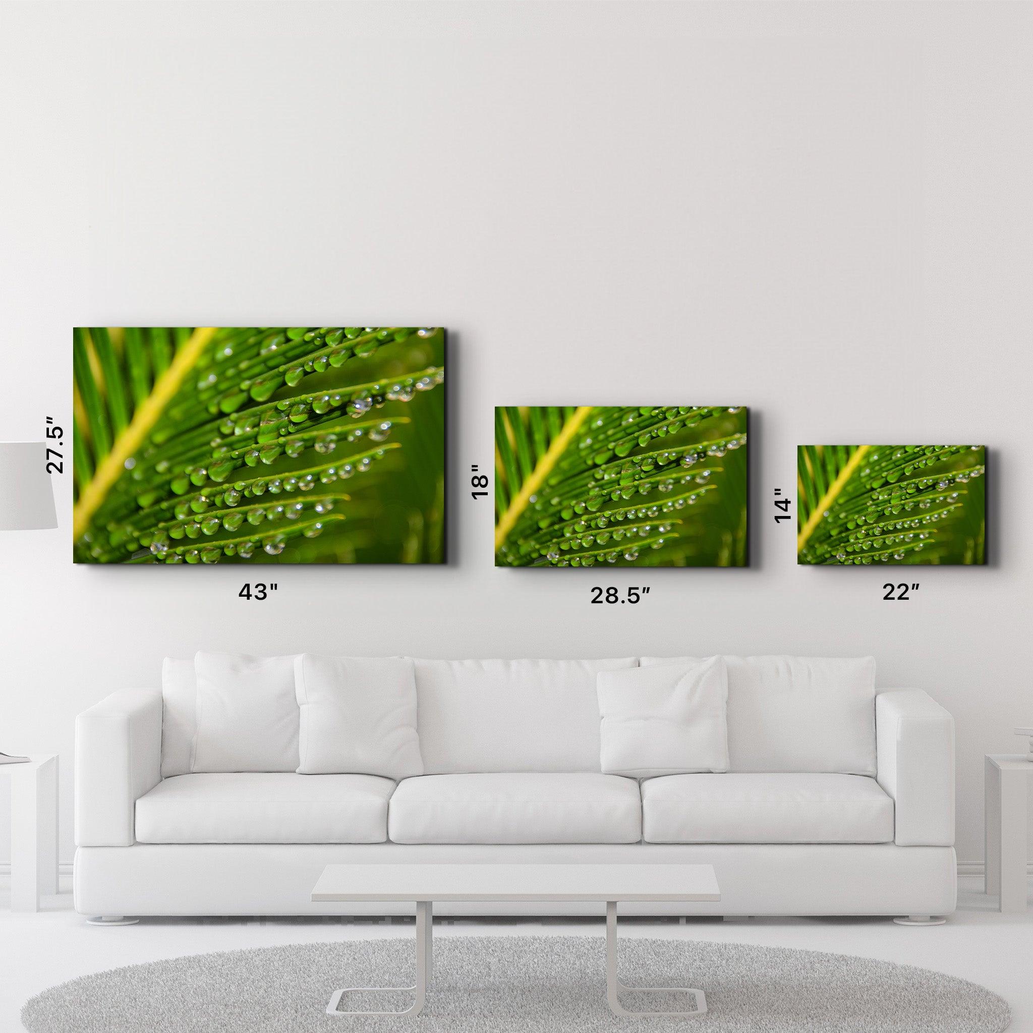 Green Leaves with Water Drops | Glass Wall Art - ArtDesigna Glass Printing Wall Art