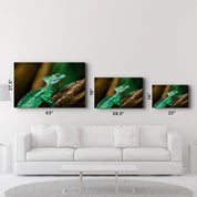 Wild Green | Glass Wall Art - ArtDesigna Glass Printing Wall Art