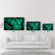 Green Leaves | Glass Wall Art - ArtDesigna Glass Printing Wall Art
