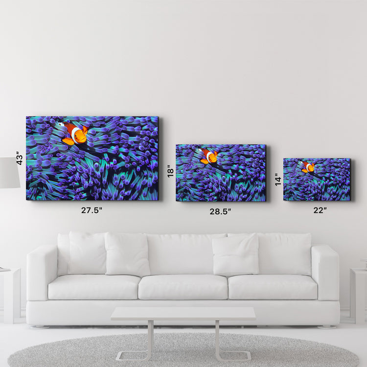 ・"Clownfish"・Glass Wall Art - ArtDesigna Glass Printing Wall Art