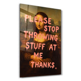 Please Stop Throwing Stuff at Me - Mona Sass – Glasbild