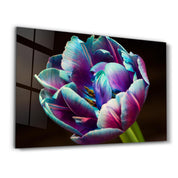 Tulip | Glass Wall Art - Artdesigna