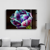 Tulip | Glass Wall Art - Artdesigna