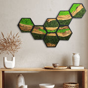 Honeycomb Moss & Olive Tree | Premium Handmade Wall Sculptures
