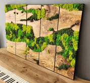 Unexplored Moss Forest | Premium Handmade Wall Sculptures - ArtDesigna Glass Printing Wall Art