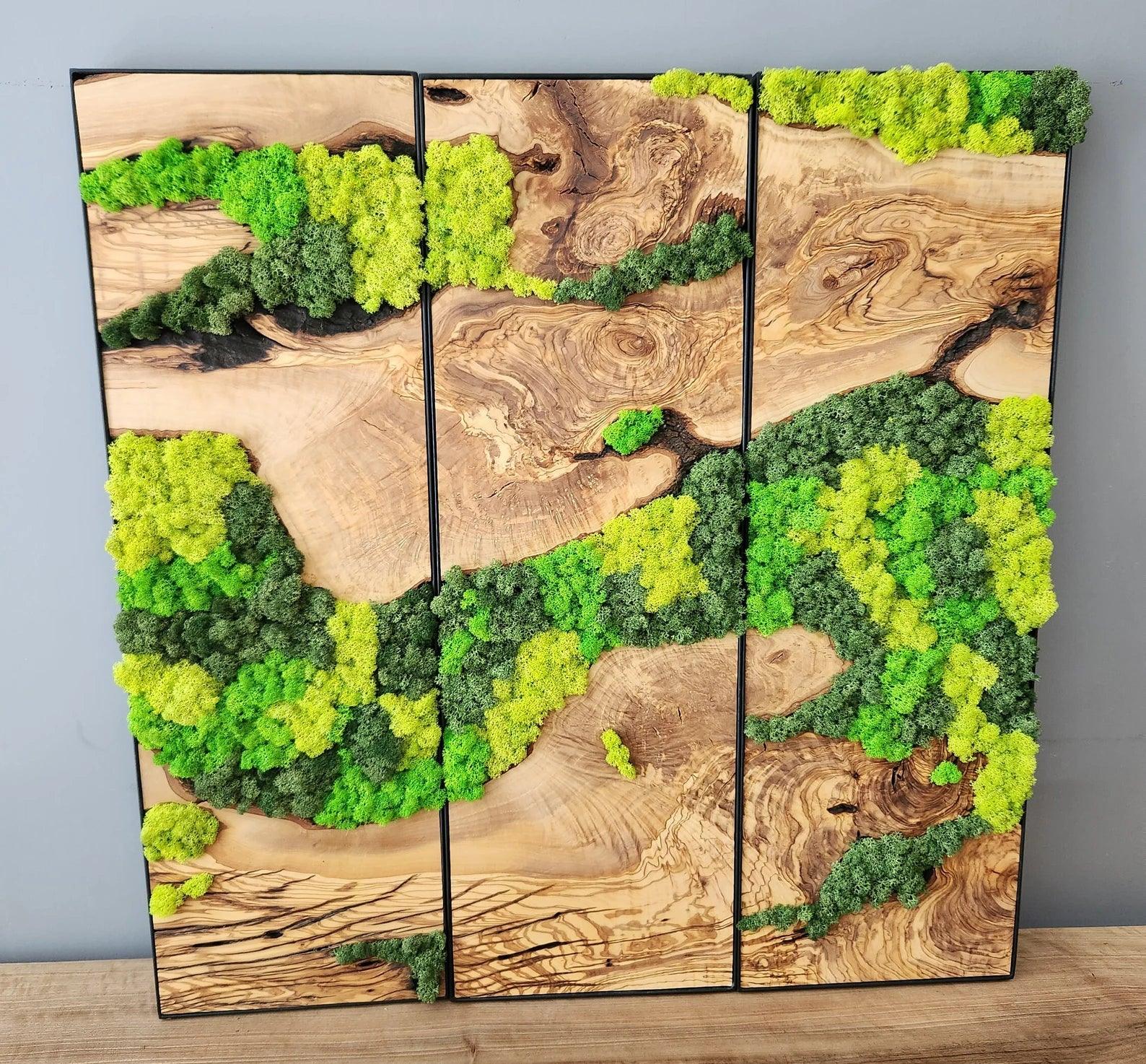 Unexplored Moss Forest | Premium Handmade Wall Sculptures - ArtDesigna Glass Printing Wall Art