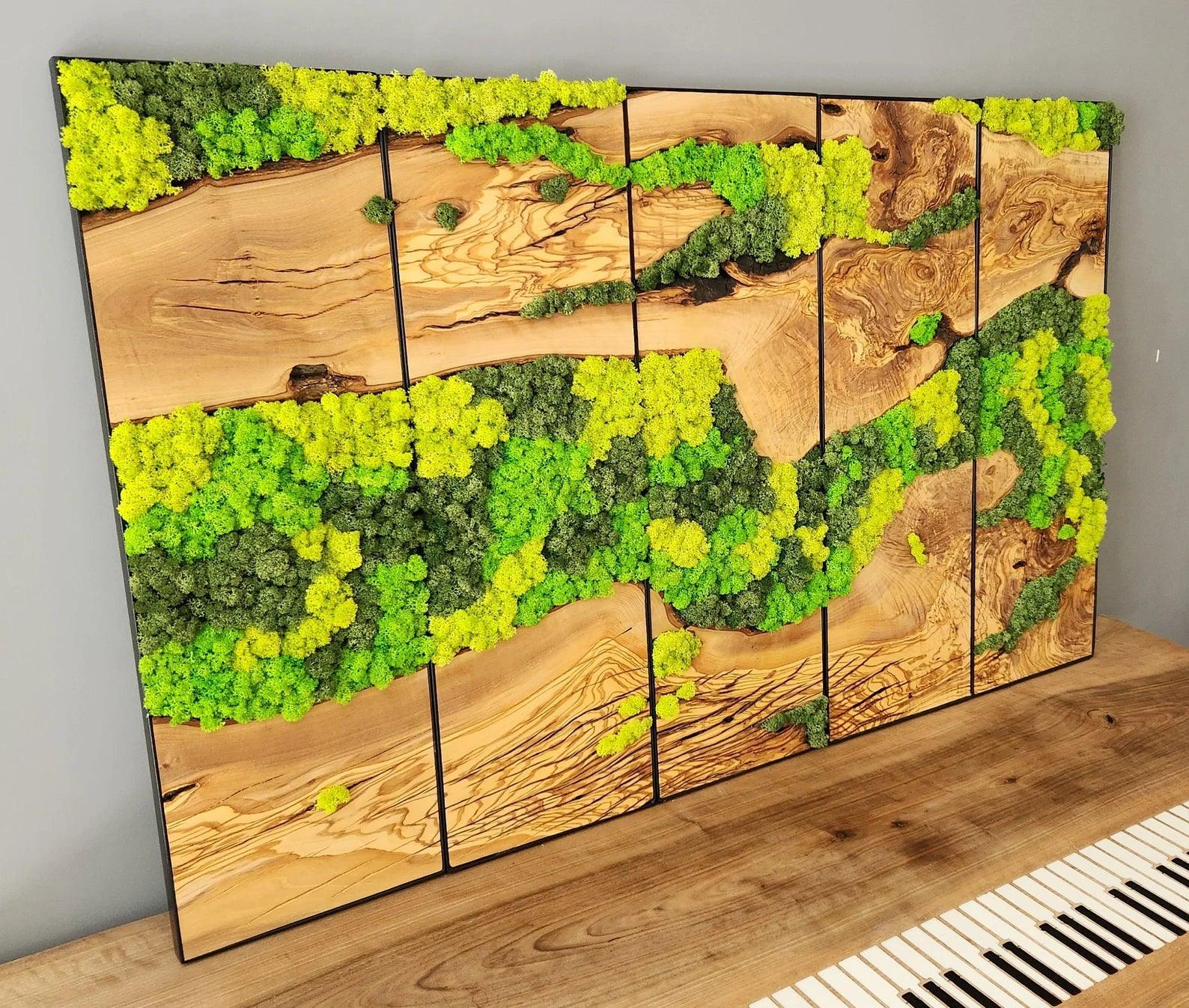 Unexplored Moss Forest | Premium Handmade Wall Sculptures - ArtDesigna Glass Printing Wall Art