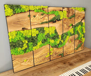 Unexplored Moss Forest | Premium Handmade Wall Sculptures - ArtDesigna Glass Printing Wall Art