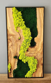 Custom Made Moss and Olive Tree Wood Wall Art Rectangular | Premium Handmade Wall Sculptures - ArtDesigna Glass Printing Wall Art