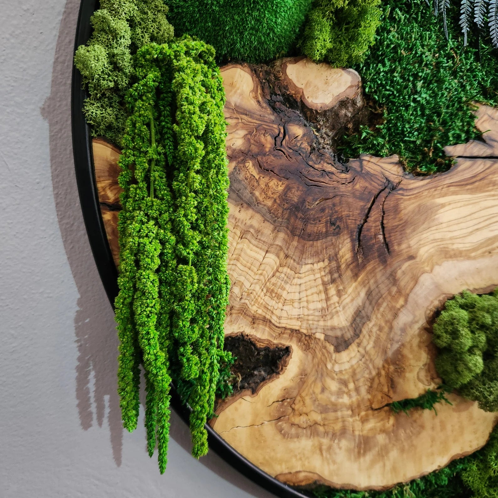 Organic Oasis | Premium Moss and Olive Wood Wall Decor - Artdesigna