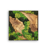 Moss and Olive Wood Tree Wall Art 3 Colors | Premium Handmade Wall Sculptures