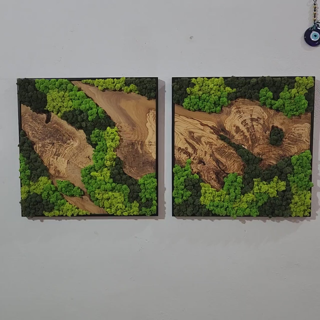Moss and Olive Wood Tree Wall Art 3 Colors | Premium Handmade Wall Sculptures