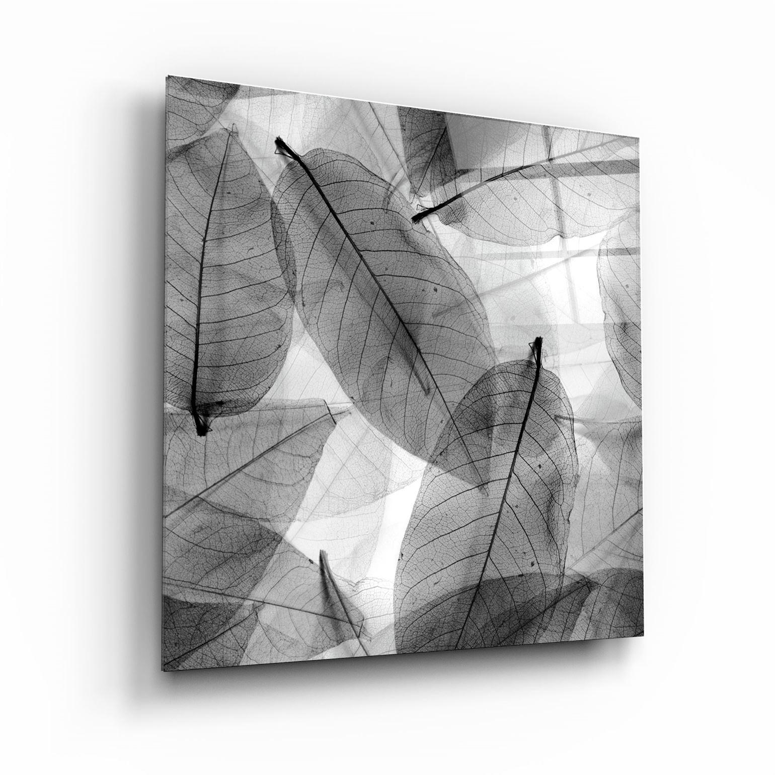 ・"Black and White Leaves"・Glass Wall Art - ArtDesigna Glass Printing Wall Art