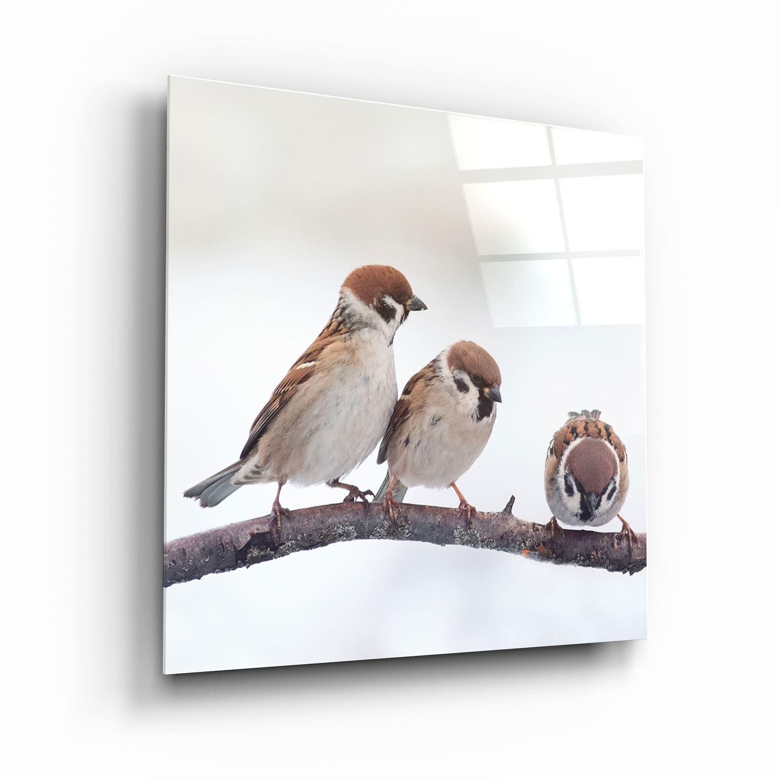 ・"Birds"・Glass Wall Art - ArtDesigna Glass Printing Wall Art