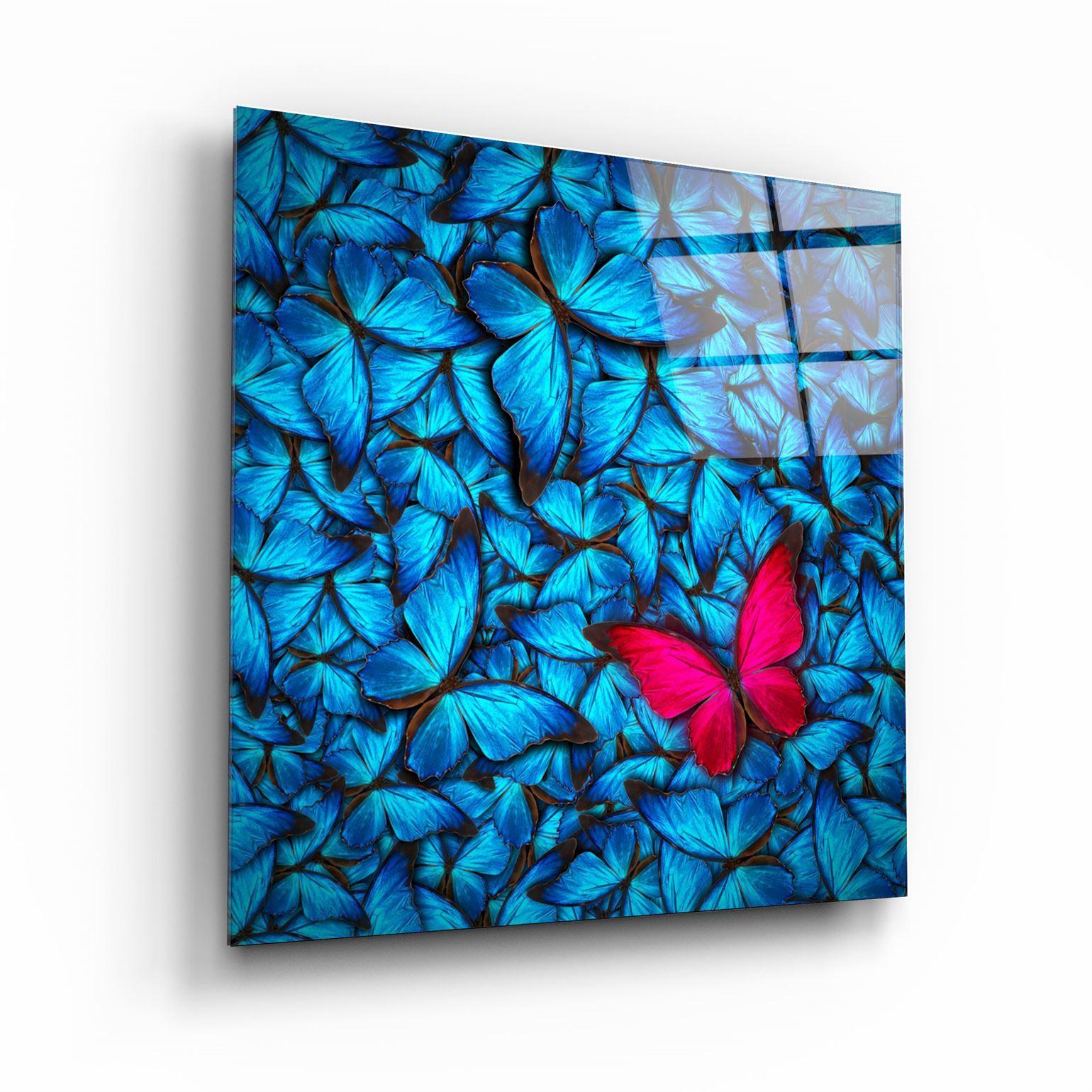 ・"Butterfly"・Glass Wall Art - ArtDesigna Glass Printing Wall Art