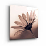 ・"Sepia Flower"・Glass Wall Art